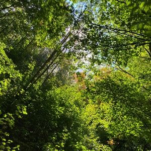 Meet your Posher, Frnchie